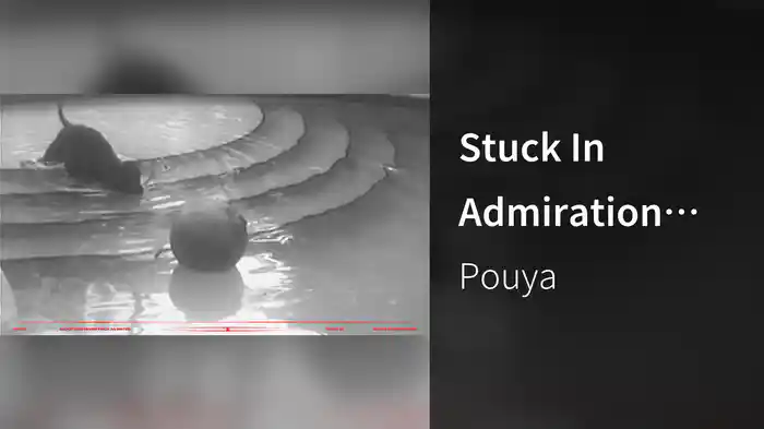 Stuck In Admiration (Lyric Video)