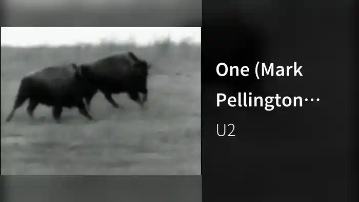 One (Mark Pellington Version)