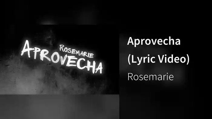 Aprovecha (Lyric Video)