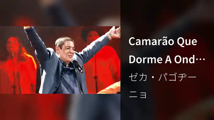 Camarão Que Dorme A Onda Leva (Ao Vivo No Rio de Janeiro / 2024)