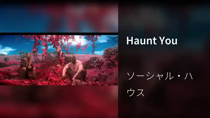 Haunt You