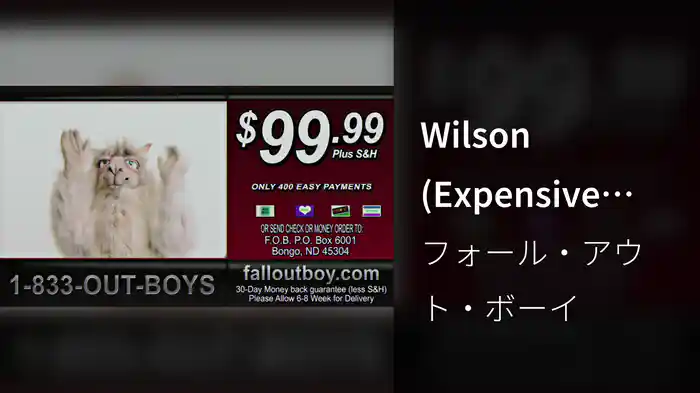 Wilson (Expensive Mistakes)