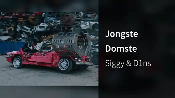Jongste Domste