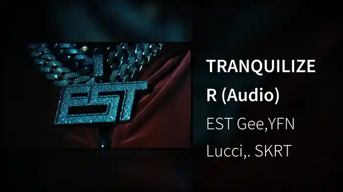 TRANQUILIZER (Audio)