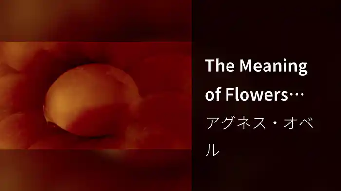 The Meaning of Flowers (Visualizer)