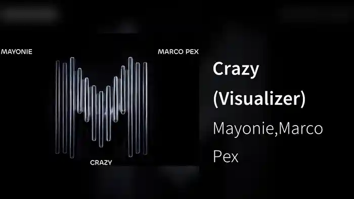 Crazy (Visualizer)