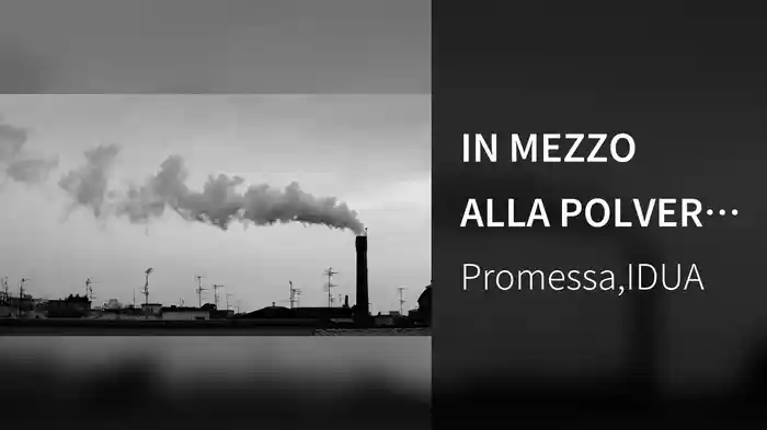 IN MEZZO ALLA POLVERE (Visual)
