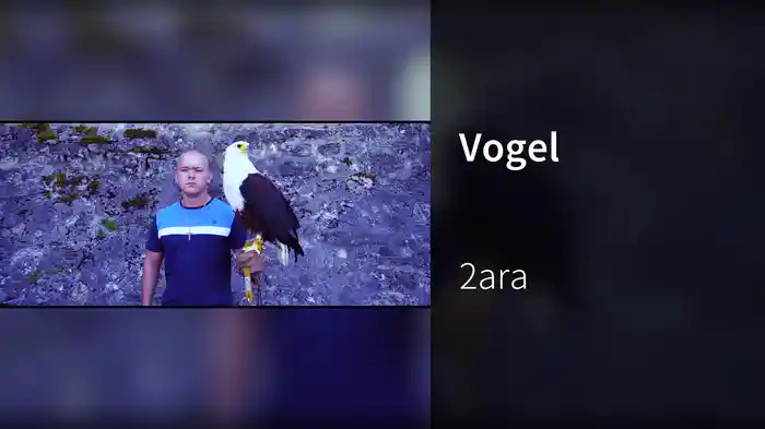 Vogel