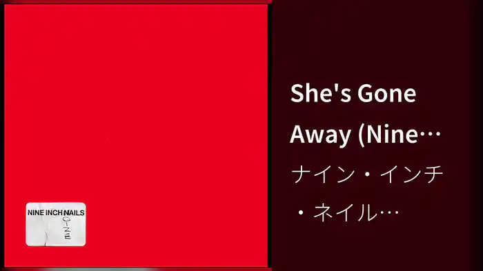 She's Gone Away (Nine Inch Noize Version/Audio)