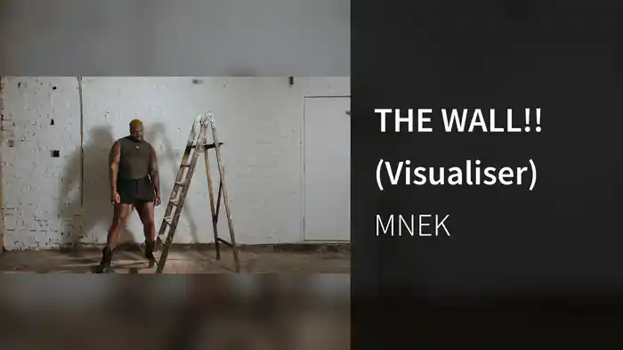 THE WALL!! (Visualiser)