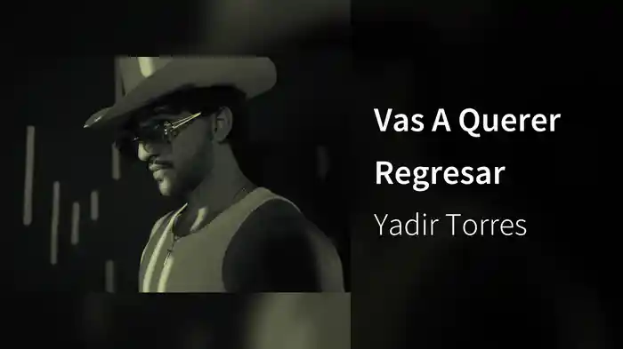 Vas A Querer Regresar