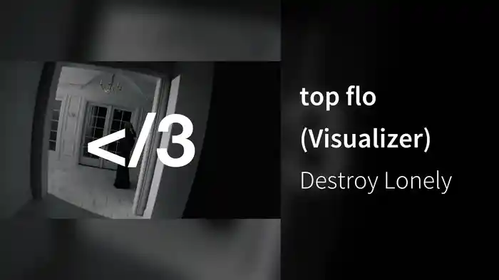 top flo (Visualizer)