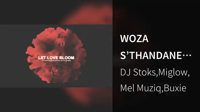 WOZA S’THANDANE (Visualizer)