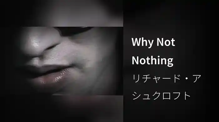 Why Not Nothing