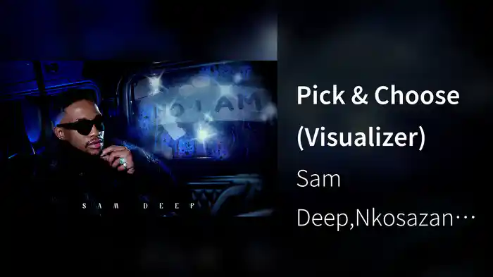 Pick & Choose (Visualizer)