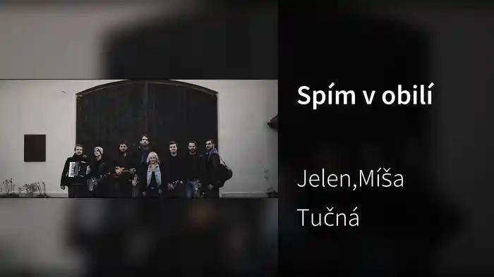 Spím v obilí