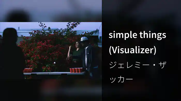 simple things (Visualizer)
