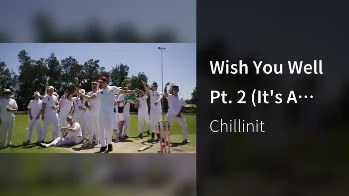 Wish You Well Pt. 2 (It's A Vibe)
