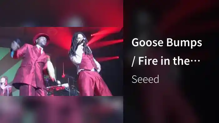 Goose Bumps / Fire in the Morning (Meltdown Reeemix / Berlin Arena 2006 / Live)