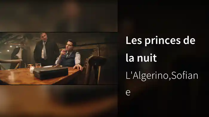 Les princes de la nuit