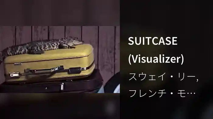 SUITCASE (Visualizer)