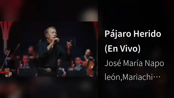 Pájaro Herido (En Vivo)
