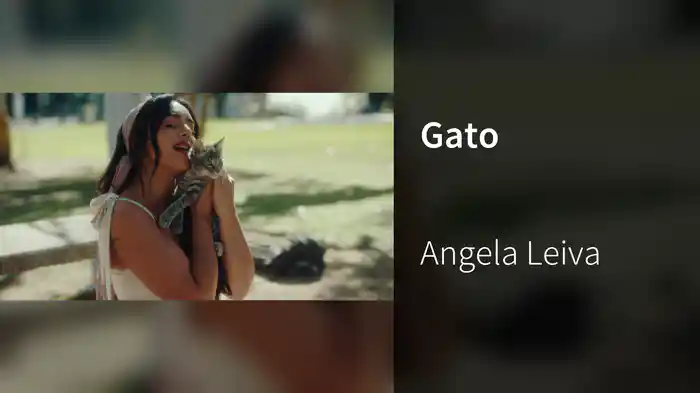 Gato