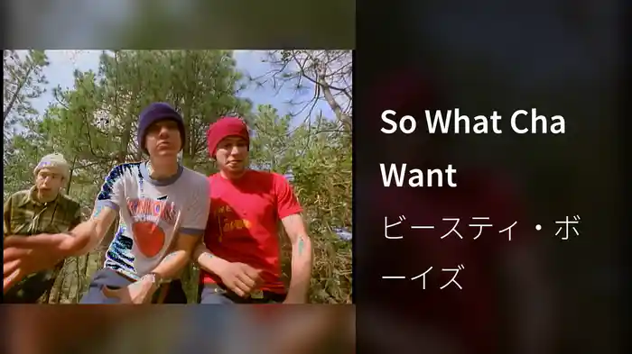 So What Cha Want