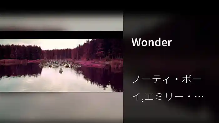 Wonder