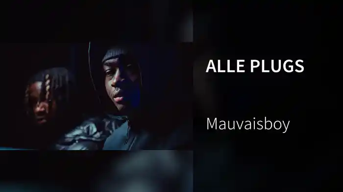 ALLE PLUGS