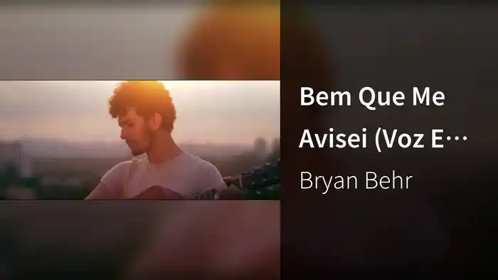 Bem Que Me Avisei (Voz E Violão)