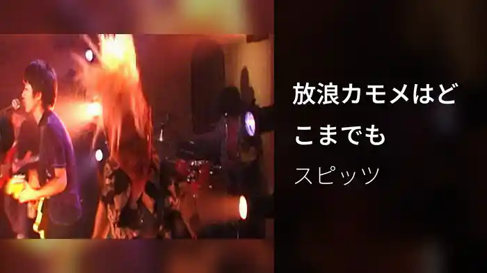 放浪カモメはどこまでも