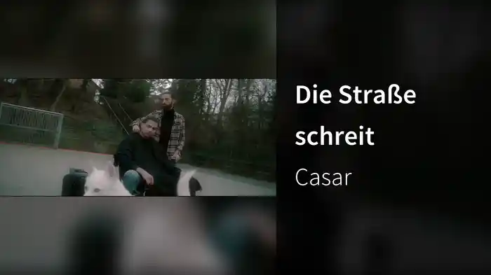 Die Straße schreit