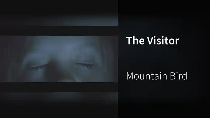 The Visitor