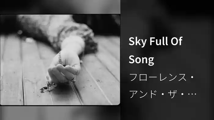 Sky Full Of Song