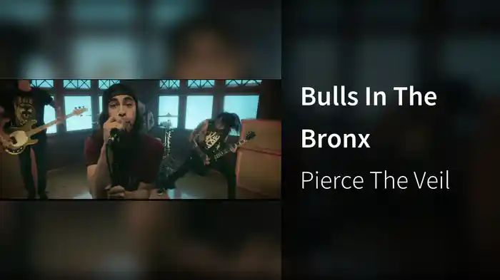 Bulls In The Bronx