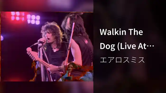 Walkin The Dog (Live At Texxas Jam, Dallas, TX, 1978)