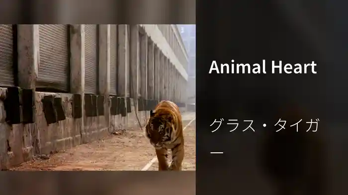 Animal Heart