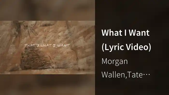 What I Want (Lyric Video)