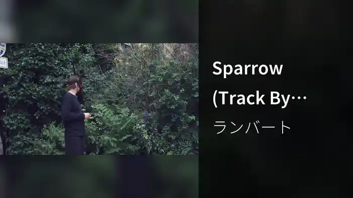 Sparrow (Track By Track)
