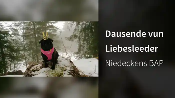 Dausende vun Liebesleeder