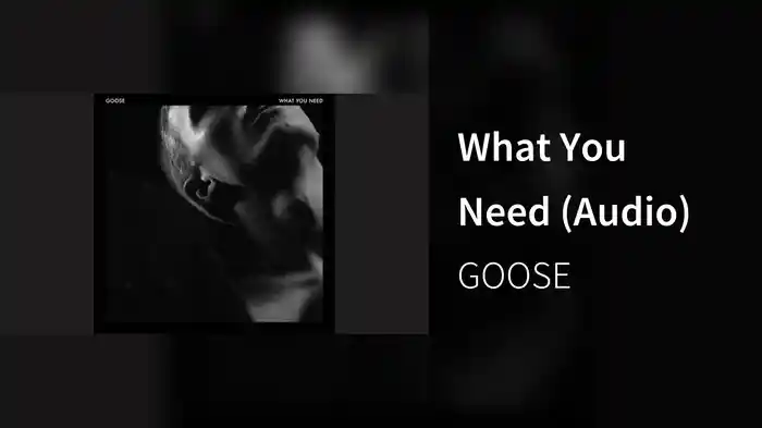 What You Need (Audio)