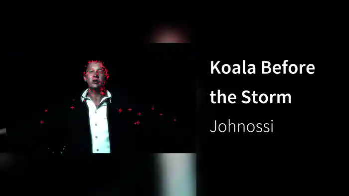 Koala Before the Storm