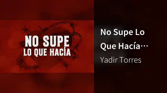 No Supe Lo Que Hacía (LETRA)