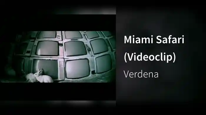 Miami Safari (Videoclip)