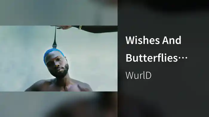 Wishes And Butterflies (Audio)