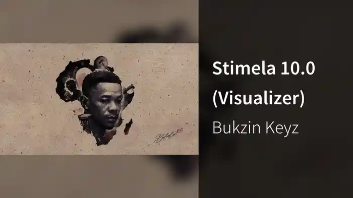 Stimela 10.0 (Visualizer)