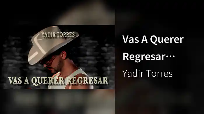 Vas A Querer Regresar (LETRA)