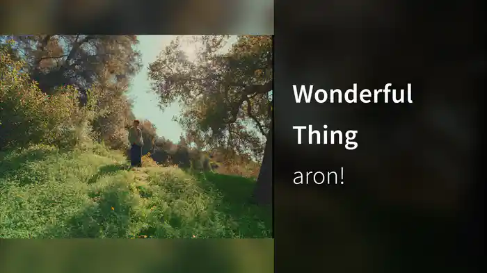 Wonderful Thing