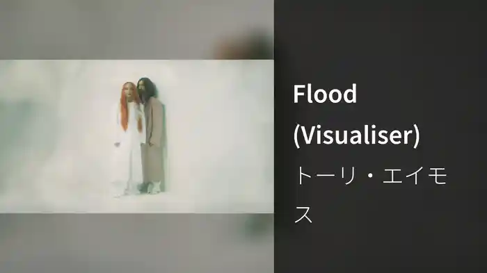 Flood (Visualiser)